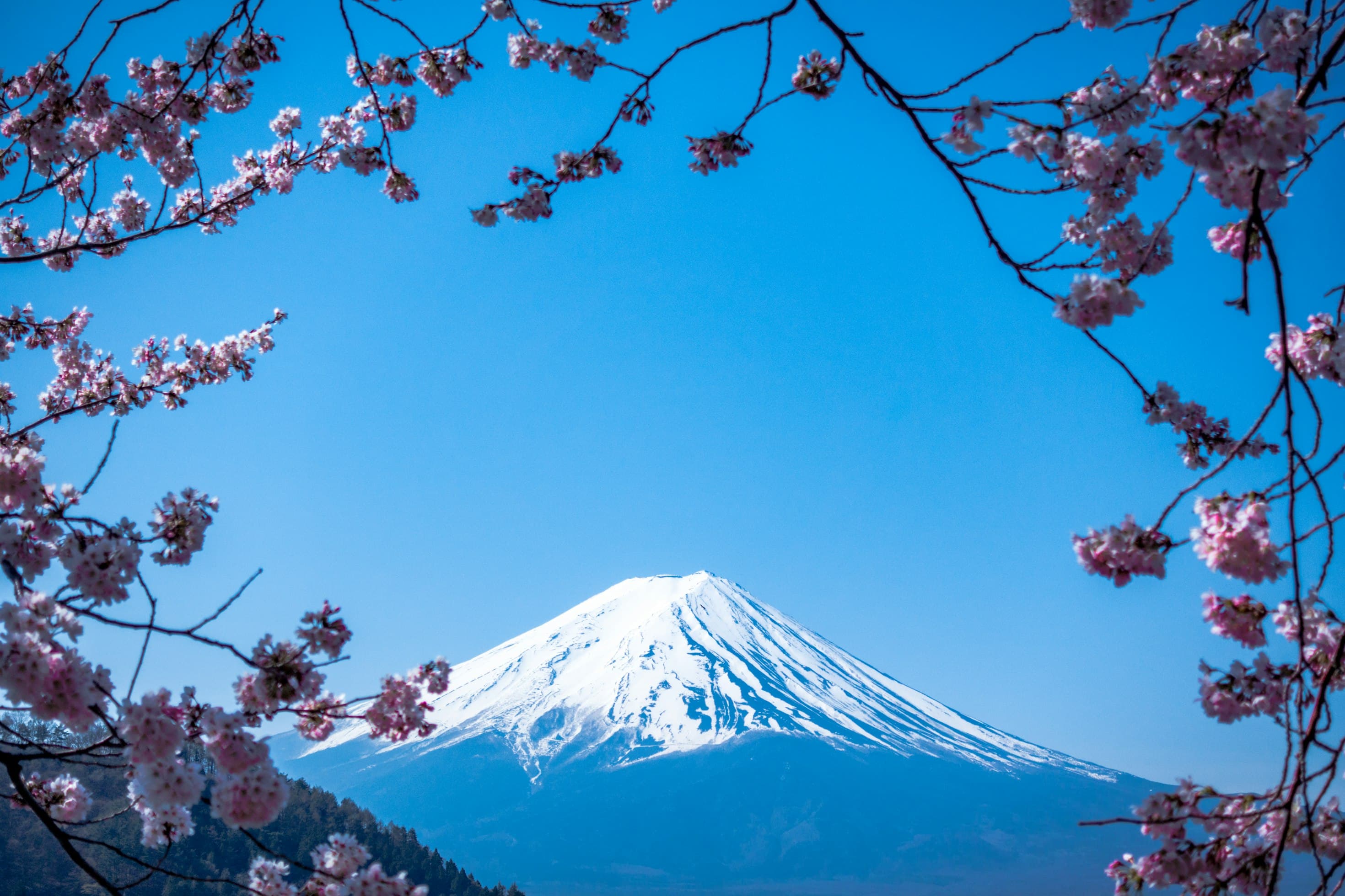 山梨